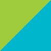 Aqua/Lime
