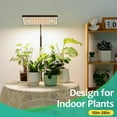thumbnail image 2 of 2024 Upgraded Desk Grow Lights for Indoor Plants, Dual-Head 428 LED Tabletop Full Spectrum Grow Light, with 3/6/12H Timer, 6 Brightness Levels, 3 Lighting Modes, Height Adjustable for 10-26 inches, 2 of 14