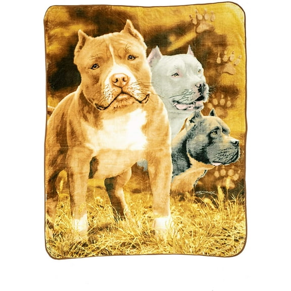 Pitbulls Signature Collection Queen Size Reversible Plush Blanket 79" x 95"