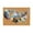 001_Brown, variant on US Map Print Brown Floor Mat