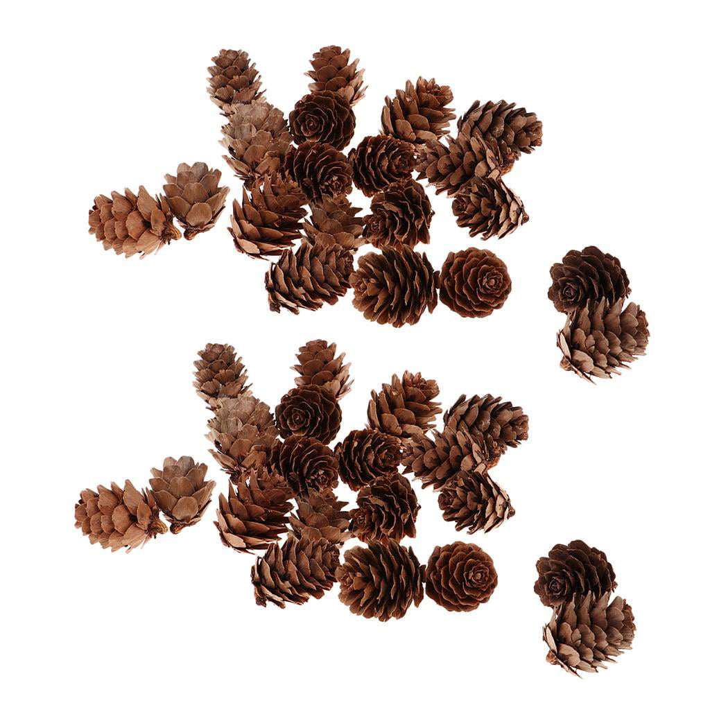 30 Pcs Decorative Pine Cones Retro Small Size for Photo Shooting Props Craft