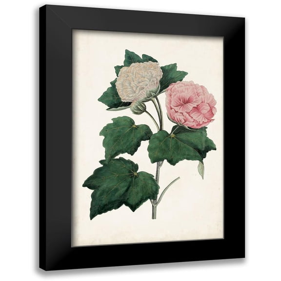 Vision Studio 11x14 Black Modern Framed Museum Art Print Titled - Vintage Rose Clippings II