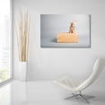 thumbnail image 6 of Epic Art ' Small Dog, Big World' by Don Spears, Acrylic Glass Wall Art, 36"x24", 6 of 8