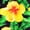 EBONY, FLORAL, variant on LA LEELA Women's Beach Maxi A-Line Casual Summer Slit Party Strapless Tube Top Dress One Size Shamrock Green, Tropical
