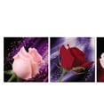 thumbnail image 3 of Ilustraciones Cuadros Gloria Giclée Impresiones en Rosas Románticas 3 Paneles, 3 of 6