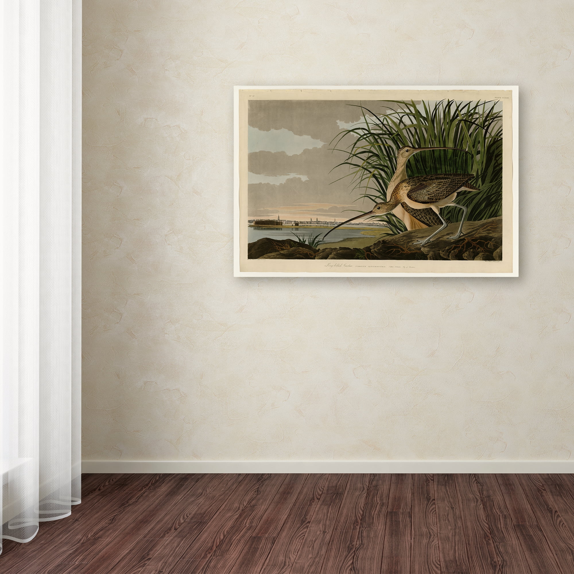 John James Audubon 'Long Billed Curlew' Canvas Art