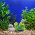 thumbnail image 4 of unbranded Acuario Plásticas Realistas Para Paisaje Acuático Sin Mantenimiento, 4 of 8