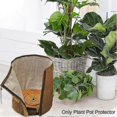 thumbnail image 3 of Funda protectora para plantas de invierno, anticongelante, a prueba de rayos ultravioleta, bolsa de protección para plantas, L (yu-1), 45 cm x 50 cm, 3 of 5