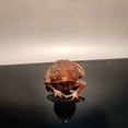 thumbnail image 4 of vintage frog statue home decor living room wood sculpture wooden figurine carved souvenir amusing, 4 of 4