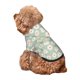 thumbnail image 5 of Balery Daisies Flowers Sudadera con Capucha para Perros Pequeños – Ropa para Mascotas, Disfraz para Perros y Gatos, Ideal para Fiestas y Cosplay-X-Small, 5 of 7