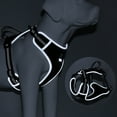 thumbnail image 4 of Arnés para perros Bling Bling triangular ajustable de lujo, 4 of 10