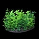 thumbnail image 2 of Adorno de plantas de acuario Gloria de plastico Cm para pecera, 2 of 6