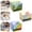 3Pcs #All-08, variant on Rainbow Clear Sticky Note Roll, Pull-Out Transparent Self-Adhesive Memo Pad, Waterproof Scenery Notepads, Cute Student Back-to-School Gift(B)