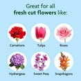 thumbnail image 6 of Miracle-Gro for Fresh Cut Flowers, 2-pack, 6 of 10