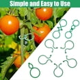 thumbnail image 4 of 200 Pcs Plant Support Clips & Trellis Kit – For Tomatoes, Climbing Vines, Vegetable Gardens (Grafting & Growth Aids), 4 of 7