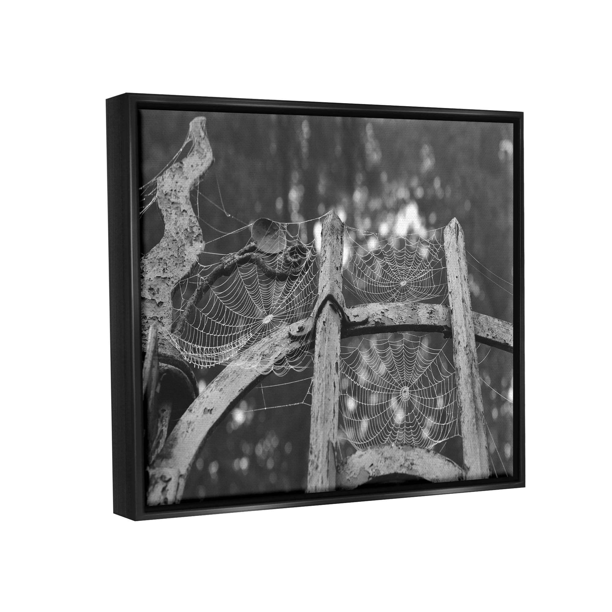 Stupell Industries Spooky Spider Webs Rustic Monochrome Gate Graphic Art Jet Black Floating Framed Canvas Print Wall Art, Design by Daphne Polselli