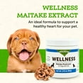 Animal Essentials Wellness Maitake DHF10 Mushroom Supplement for Dogs