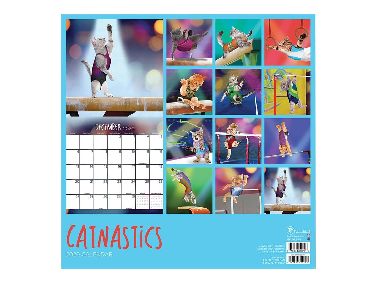 2020 Catnastics Wall Calendar 