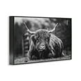 thumbnail image 4 of Stupell Industries Cattle Laying in Grass Animals & Insects Photography Black Framed Art Print Wall Art, 30 x 20, 4 of 10
