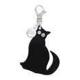 thumbnail image 2 of Delight Jewelry Acrylic Sitting Black Cat with Crystal Eyes - Silvertone Clip on Charm with Clear Crystal Drop, 2 of 4