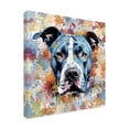 thumbnail image 4 of Canvas Wall Art - Frank Harris 'Pit Bull Master' Wall Art for Living Room, Bedroom, or Office Décor by Trademark Fine Art - 18 x 18 Inches, 4 of 4