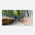 thumbnail image 2 of Sentier Droit dans une Forêt de Bambou - Impression d'Art Mural sur Toile de Forêt, 2 of 3