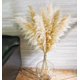 thumbnail image 4 of Pampas Grass 46 pulgadas 10 tallos Pampas Grass decoración neutra boho Pampas Grass para jarrón de piso boda arreglo floral pared mesa granja, 4 of 8