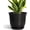 Black, variant on Ceramic Pots for Plants - 5.6 Inch Plant Pot with Drainage Hole and Saucer, Round Orchid Succulent Pots for Indoor Outdoor, Modern Small Planter, Home Office Decor, Gifts for Women, Beige