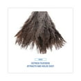 thumbnail image 6 of Boardwalk Professional Ostrich Feather Duster Gray 14" Wood Handle (BWK14FD), 6 of 7
