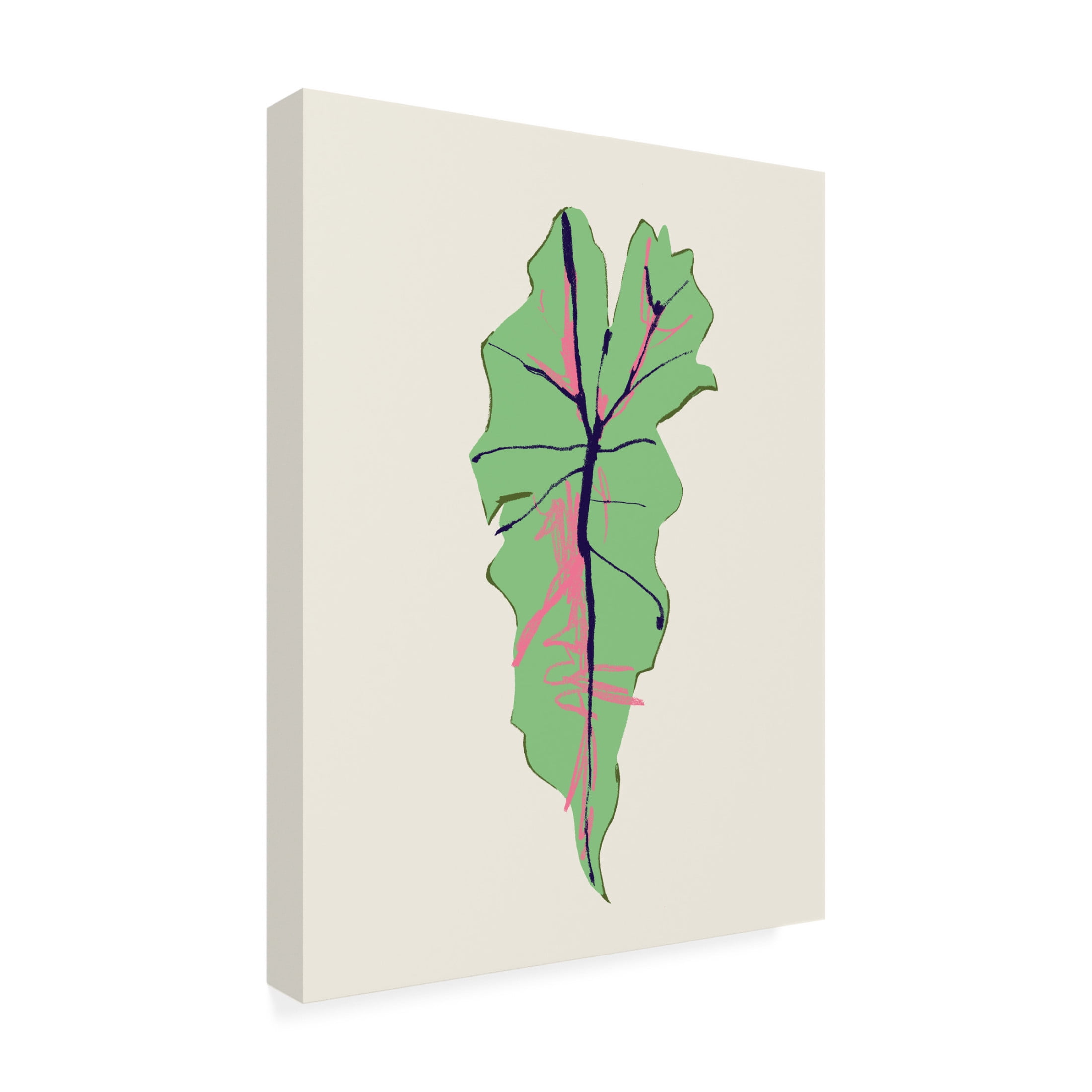 Trademark Fine Art Francesco Gulina Alocasia Polly Canvas Wall Art