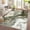 green, variant on Anoncndin Large 8x10 Washable Rugs for Living Room Abstract Rug Marble Patterned Carpet,Low-Pile Non Slip Easy Cleaning Rug Neutral Modern Carpet for Bedroom Dining Room Farmhouse Office