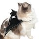 thumbnail image 4 of Disfraz de Murciélago para Mascota, Decoración para Fiesta de Halloween, Disfraz de Cosplay de Halloween, Accesorios para Disfrazar a Tu Mascota., 4 of 6