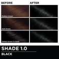 thumbnail image 6 of Garnier Olia Oil Powered Permanent Hair Color, 1.0 Black, 6 of 11