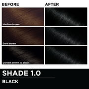 Garnier Olia Oil Powered Permanent Hair Color, 1.0 Black