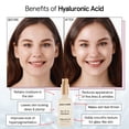 thumbnail image 3 of Sérum de ácido hialurónico Grace & Stella, 50 ml, antiedad, vegano, 3 of 8