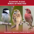 thumbnail image 6 of Vibrant Life Wild Bird Seed, Economy Blend, 40 lb Bag, 6 of 7