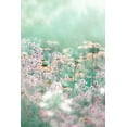 thumbnail image 2 of Parker, Jacky 13x18 White Modern Wood Framed Museum Art Print Titled - Melody, 2 of 4