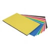 Pacon Riverside Construction Paper, 76 lbs., 12 x 18, Assorted, 50 Sheets/Pack