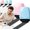 2Pcs-C, variant on Privacy Protection Roller Stamp Easy-to-Use Plastic Address Blocker with Wide Ink Coverage for Identity Theft Prevention on Shipping Labels Letters Mail Documents Home Office Use (Blue)