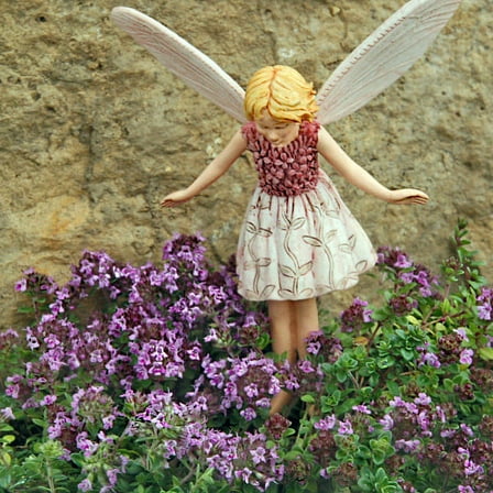 Wine & Roses Thyme - 2.5" Pot - Herb, House Plant, Fairy Garden Plant, Outdoors