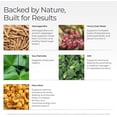 thumbnail image 4 of Livingood Daily Men's Hormone Support Supplement for Vitality & Balance, 14-in-1 Testosterone Booster for Men with Ashwagandha, Maca, DIM, Zinc, Saw Palmetto, Vitamin B12 & More, Vegan, 120 Capsules, 4 of 7
