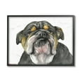 thumbnail image 2 of Stupell Industries Chubby Bulldog Portrait Old Dog Charm Black Brown Grey Framed, 11 x 14, Design by George Dyachenko, 2 of 5
