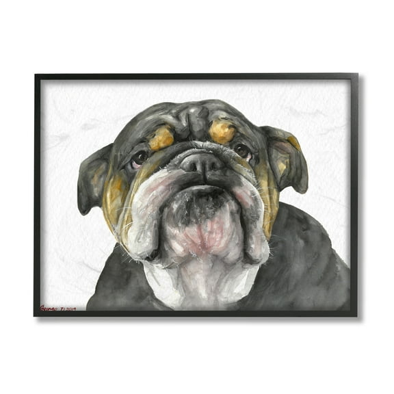 Stupell Industries Chubby Bulldog Portrait Old Dog Charm Black Brown Animals & Insects Painting Black Framed Art Print Wall Art, 11 x 14
