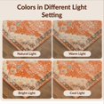 thumbnail image 7 of Design&I 2'x3' Ultra Soft Door Mat, Boho Layout Distressed Vintage Scroll Border Geometric Southwestern None Fluffy Washable Easy Care Indoor rug for Bedside Entryway, 7 of 7