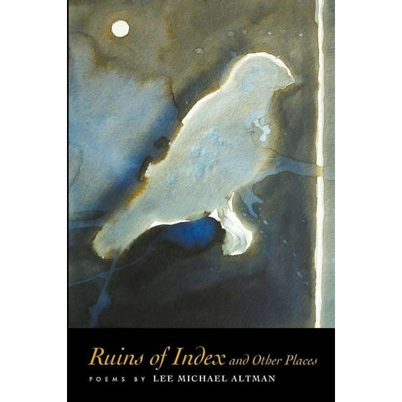 Ruins of Index and Other Places, (Paperback)