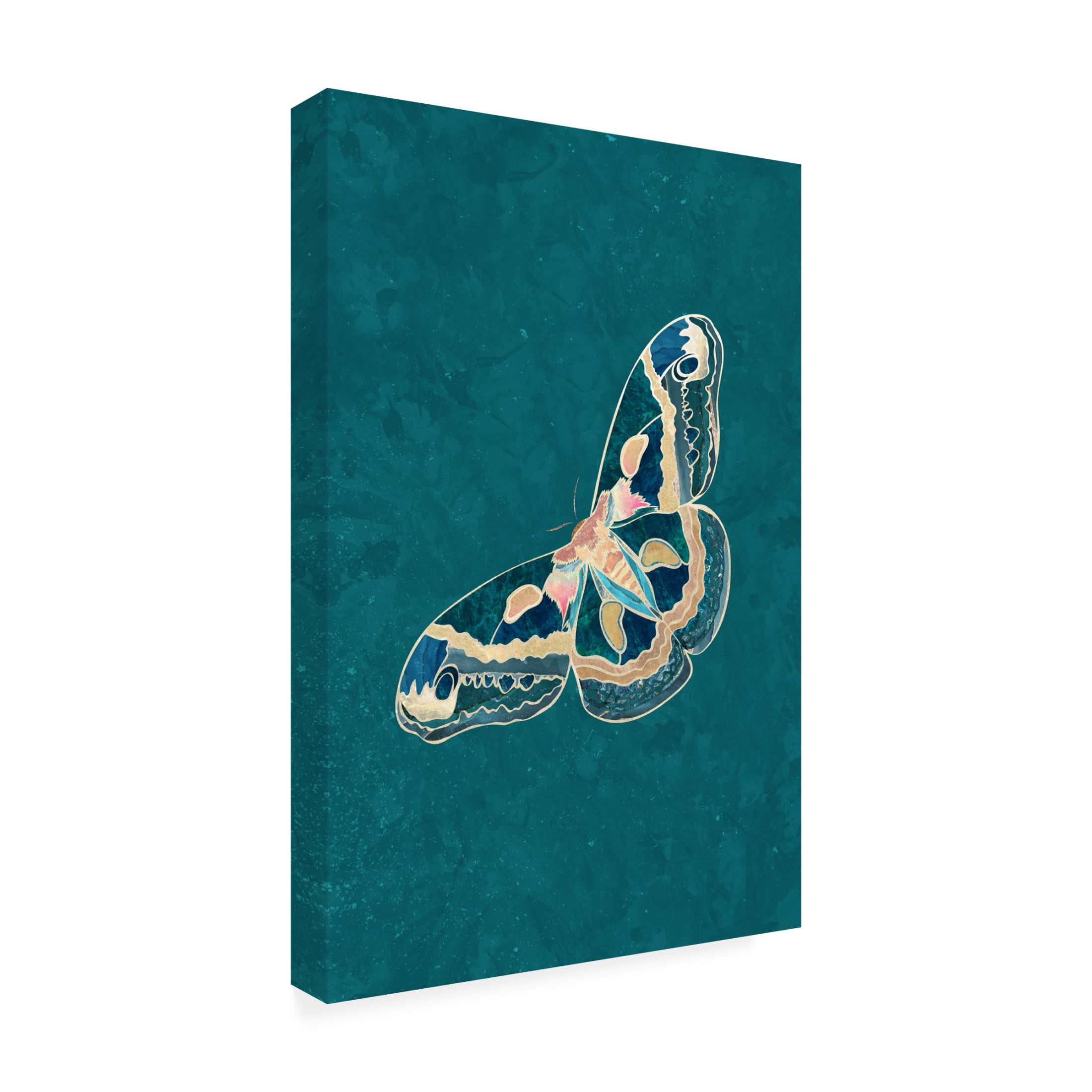 Trademark Fine Art Sarah Manovski Turquoise Gold Moth Butterfly Canvas Wall Art