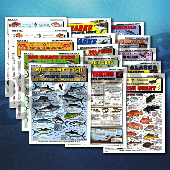 Saltwater Fish Identification Chart Set - Waterproof Quick Reference Guide - 100  Fish Species ID