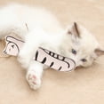 thumbnail image 5 of Juguete de hierba gatera, juguete de pez, juguete de hierba gatera para masticar, pez para gatos, molar para gatos, deportes para gatos, 5 of 5