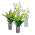 thumbnail image 3 of Minkissy 4Pcs Tiny Potted Plants Compact Size Decorative Ornament For Mini Garden Light Green, 3 of 8