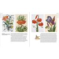 thumbnail image 4 of Maria Sibylla Merian: Artist, Scientist, Adventurer, 4 of 9